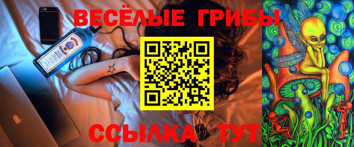 Белогорск  продажа наркотиков  Вход с VPN  Галлюциногенные грибы прущие грибы  Галлюциногенные грибы Psilocybine cubensis 